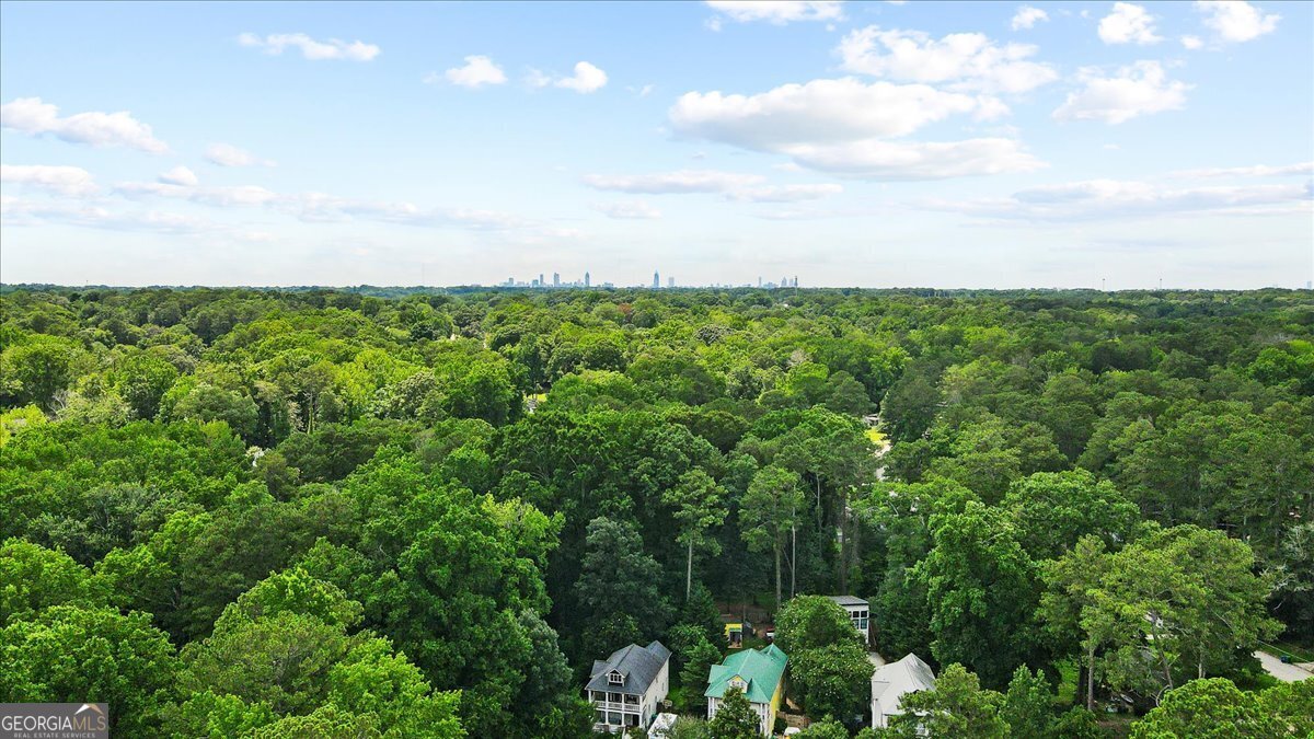 3406 Longleaf Drive Decatur - Photo 39