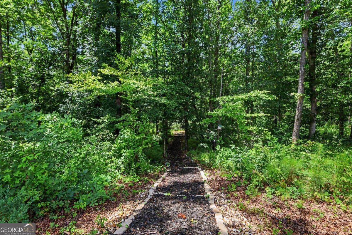 26 Baral Ridge Sharpsburg - Photo 29
