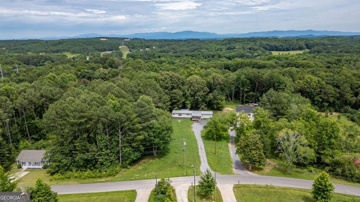 3566 Colston Lane Tunnel Hill - Photo 18