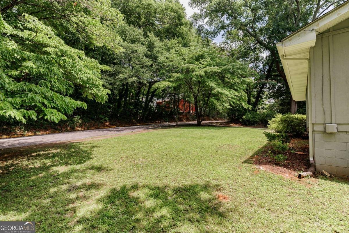 168 Pearl Street Athens - Photo 38