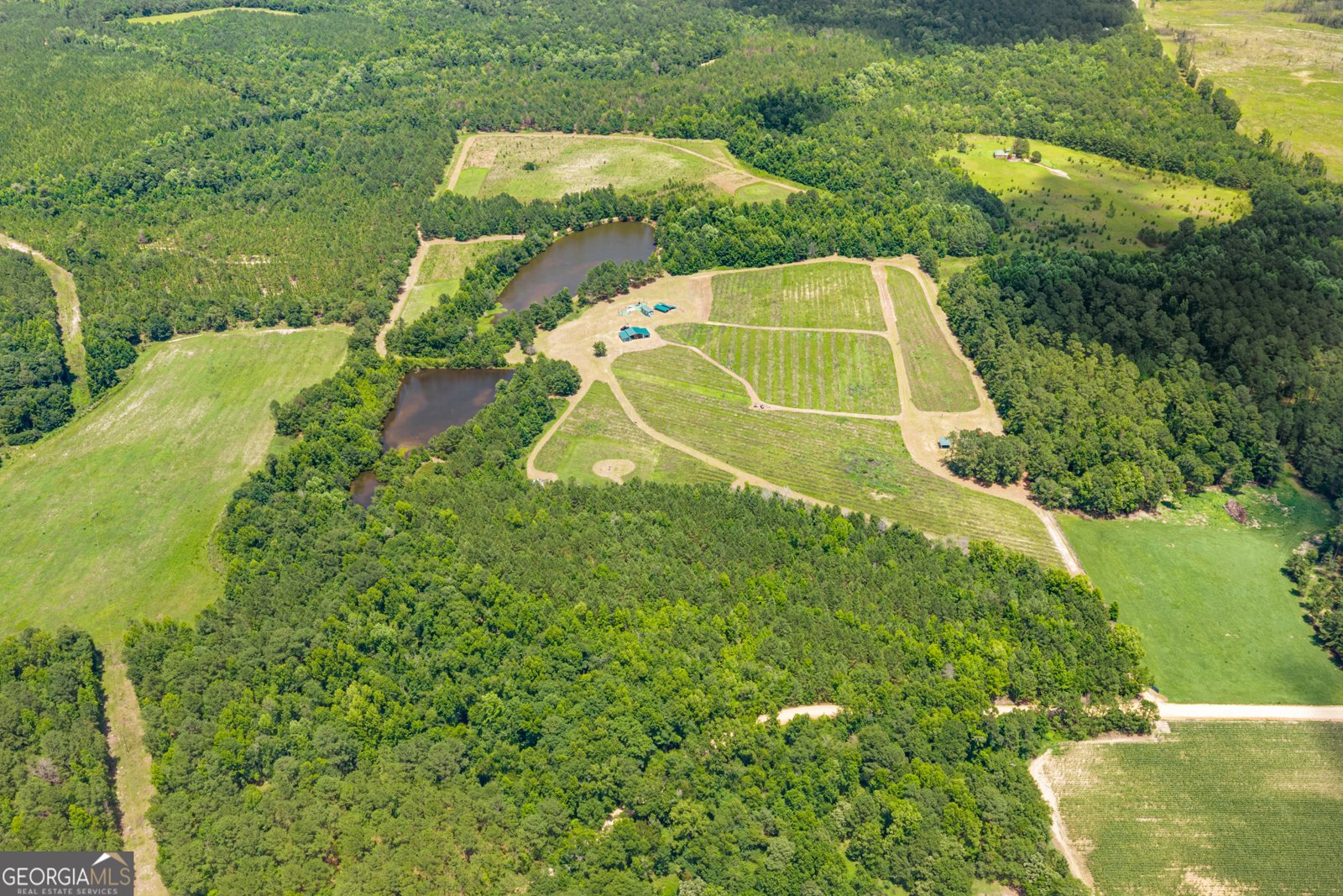 854 Bell Road Millen - Photo 10
