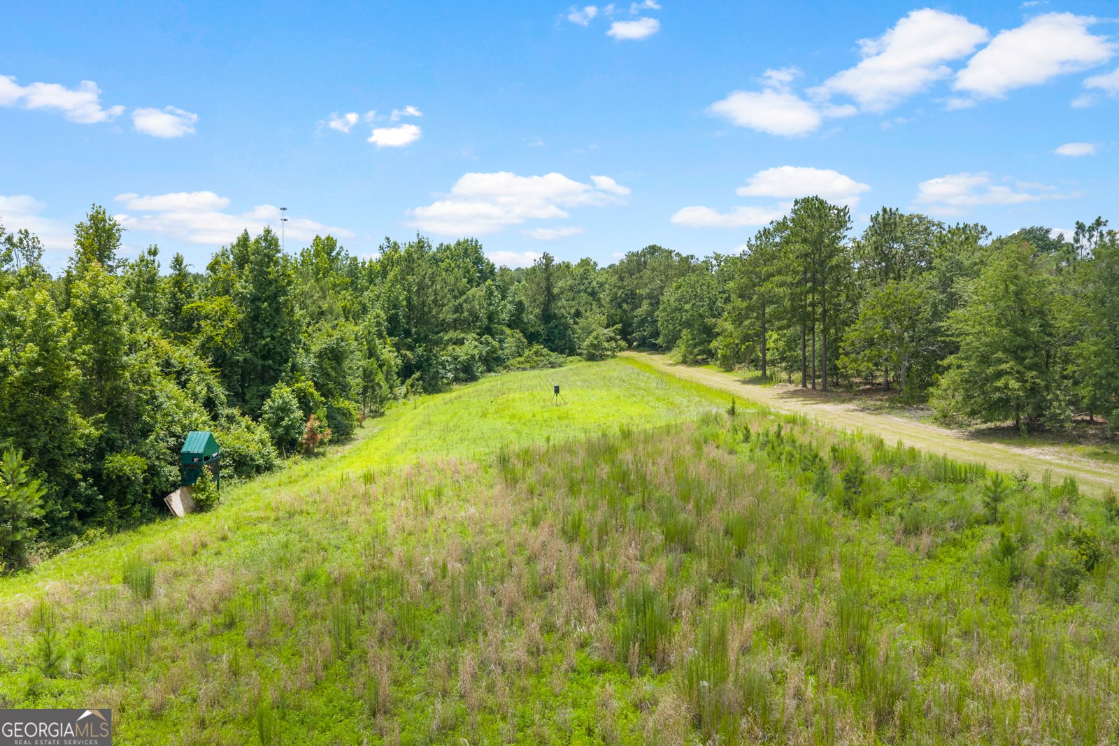 854 Bell Road Millen - Photo 19