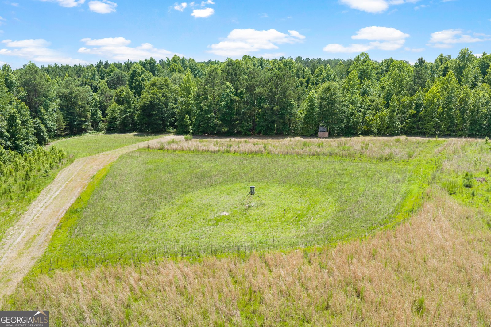 854 Bell Road Millen - Photo 31