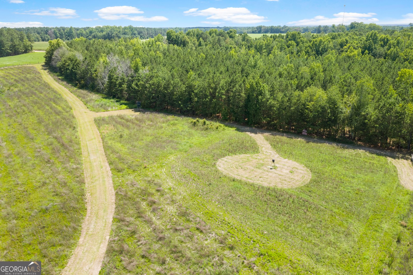 854 Bell Road Millen - Photo 33