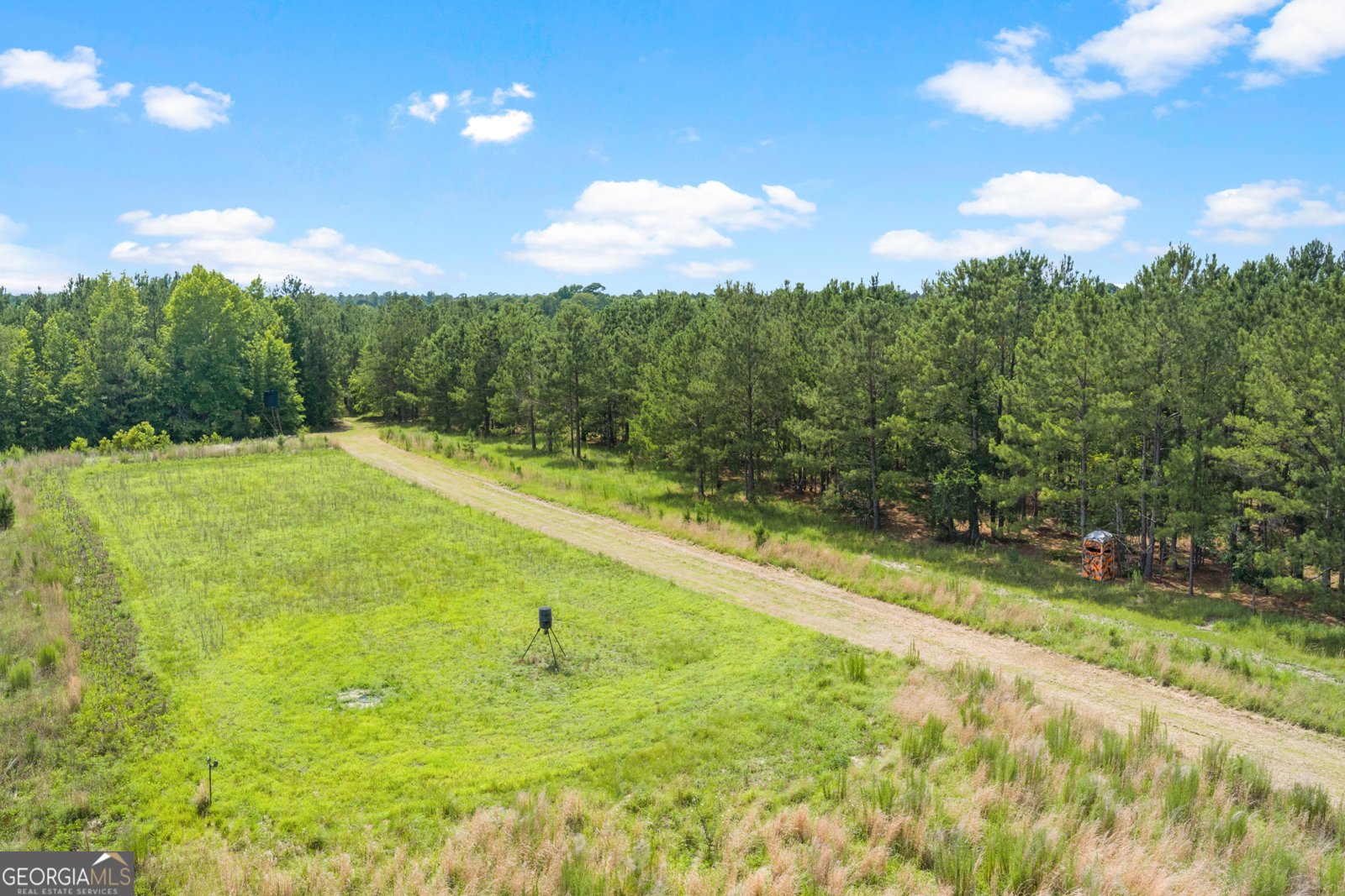854 Bell Road Millen - Photo 34