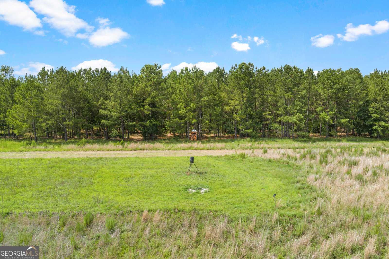 854 Bell Road Millen - Photo 35