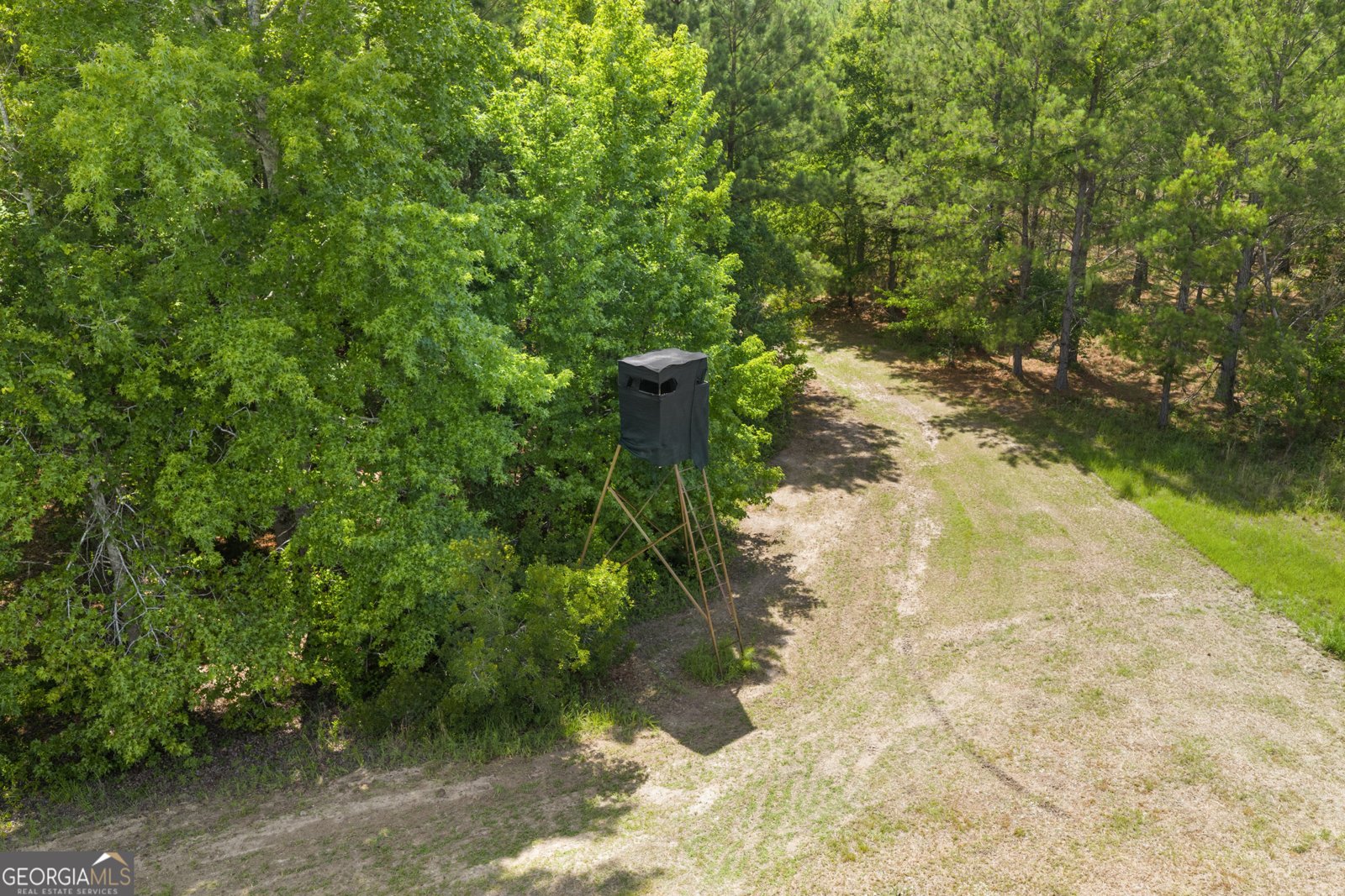 854 Bell Road Millen - Photo 54