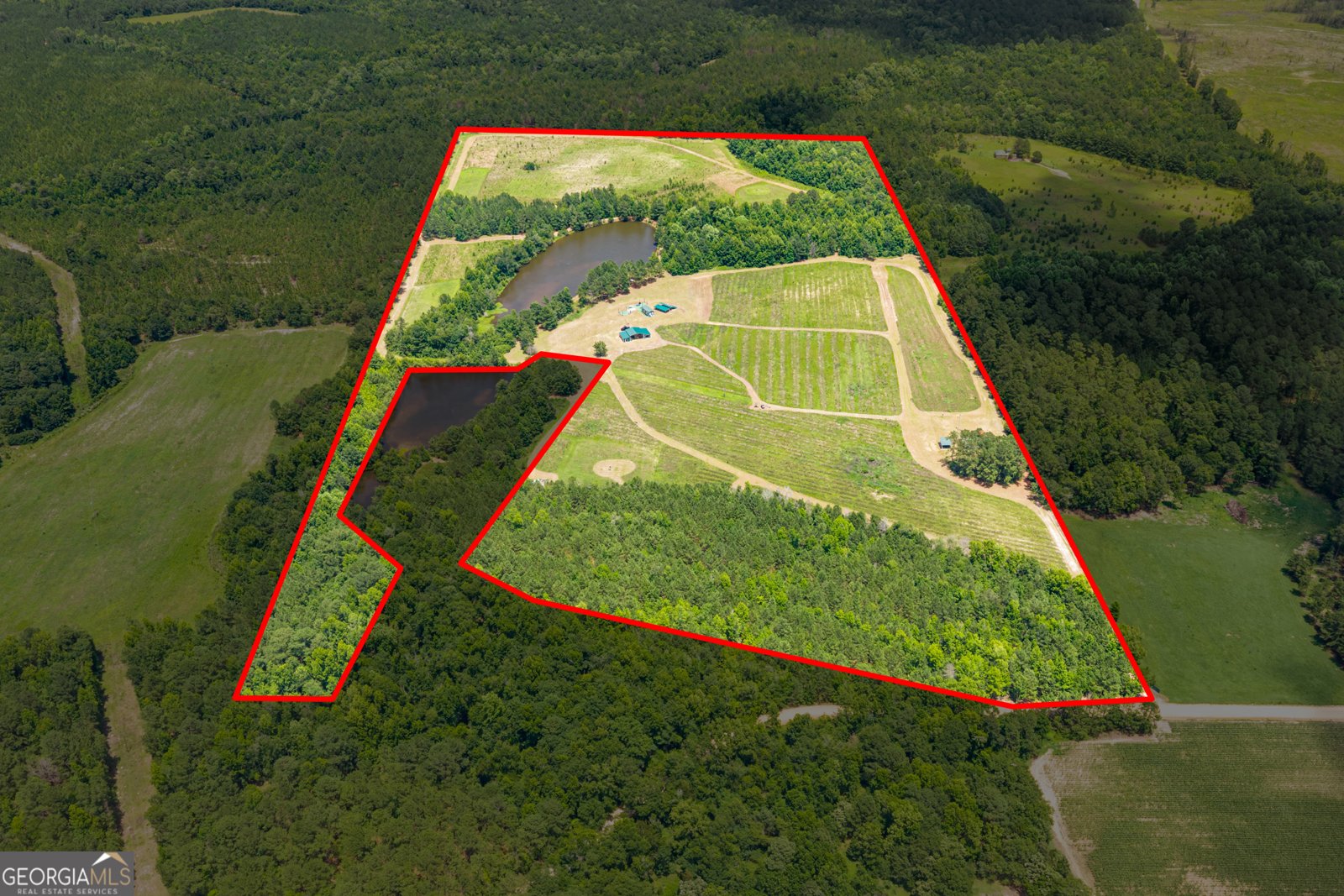 854 Bell Road Millen - Photo 56