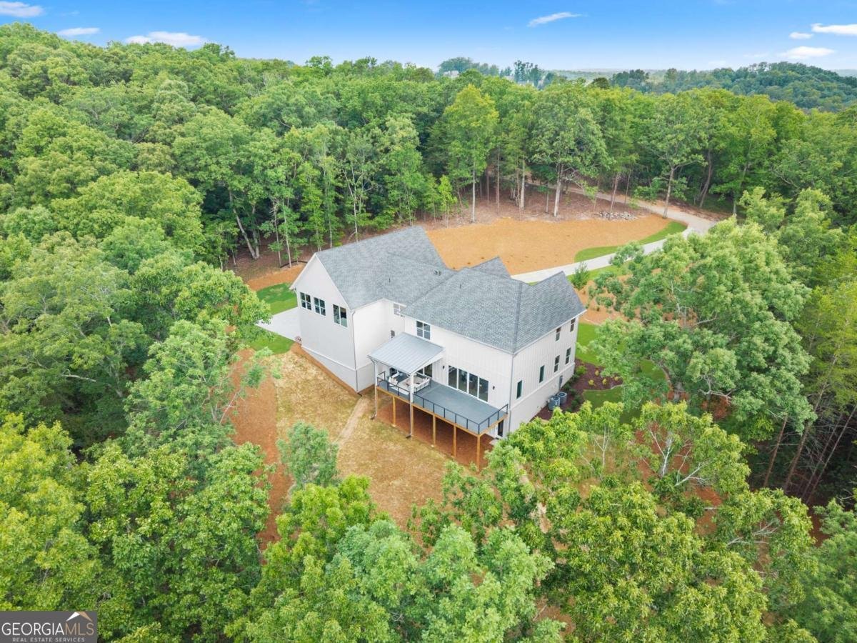 7048 Nichols Cove Drive Dawsonville - Photo 45
