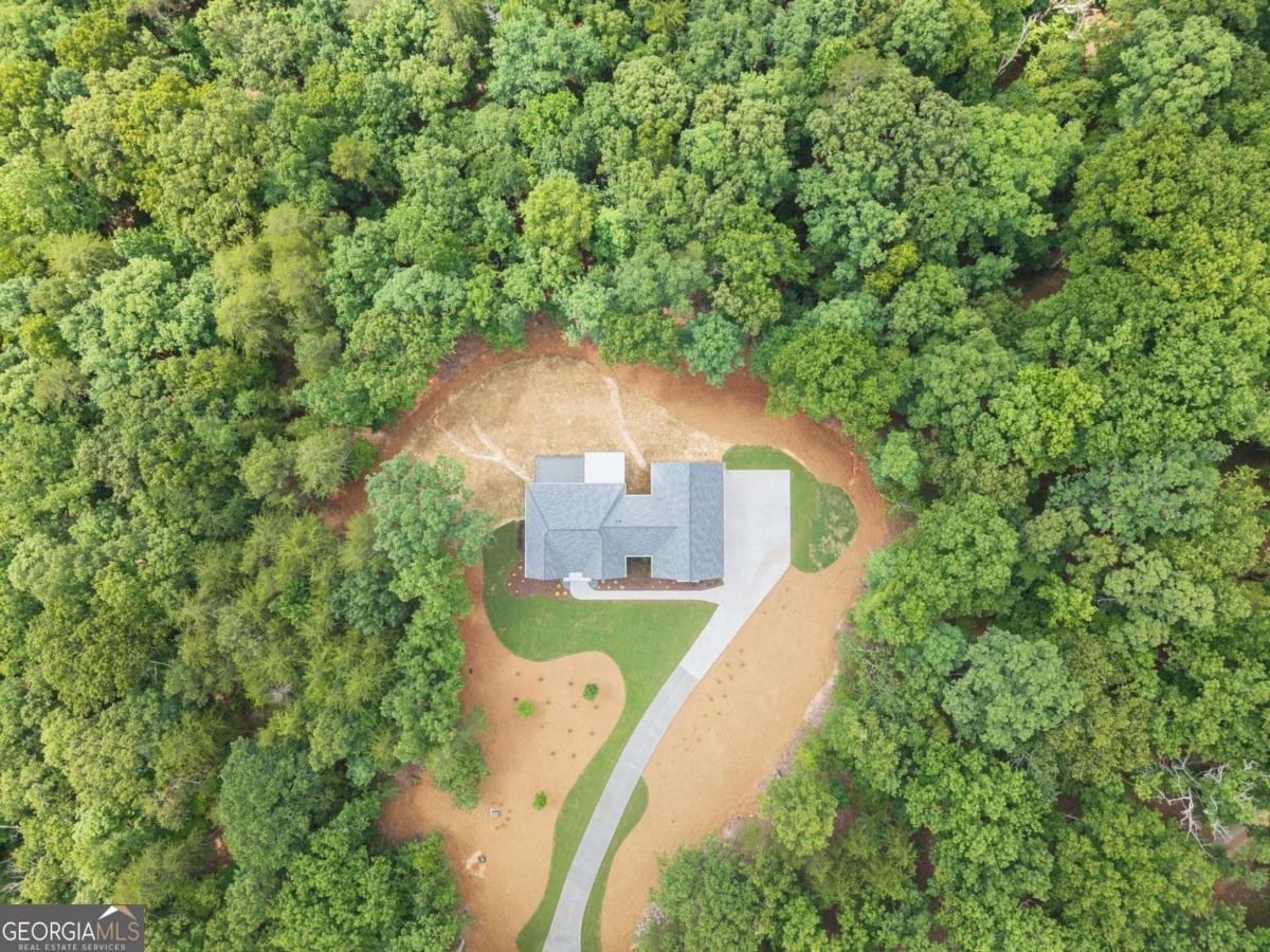 7048 Nichols Cove Drive Dawsonville - Photo 46
