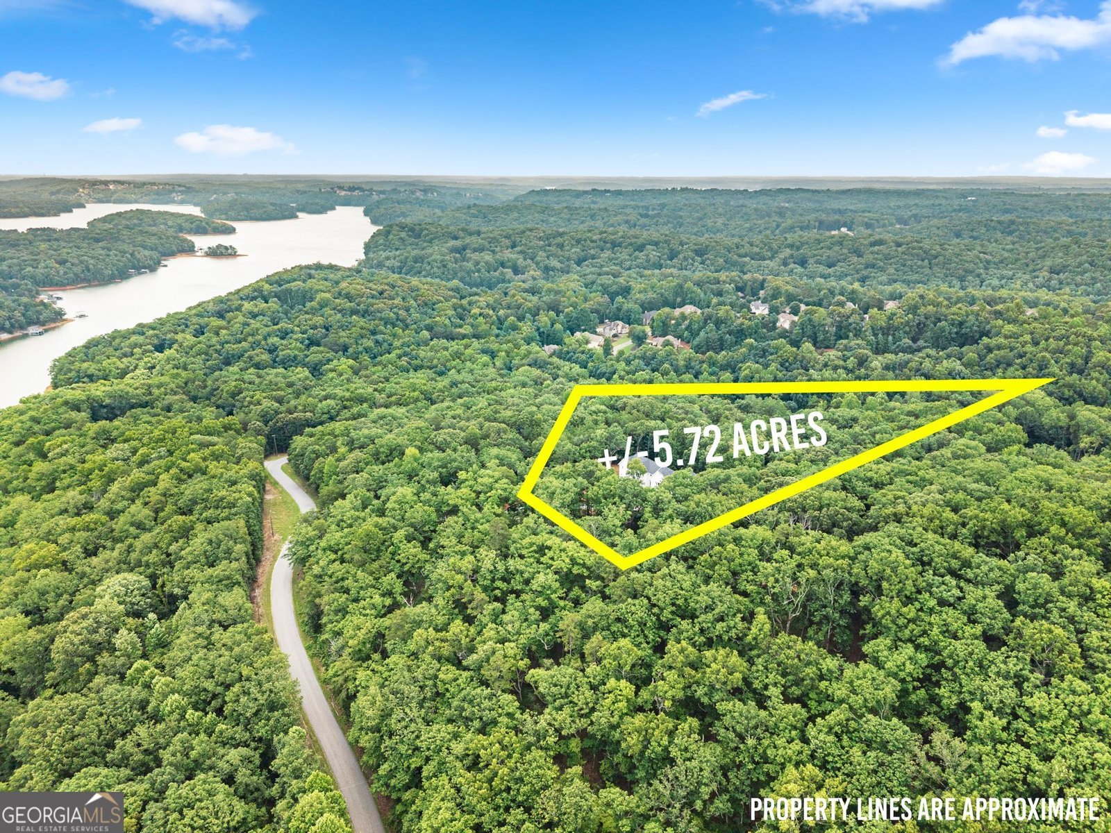 7048 Nichols Cove Drive Dawsonville - Photo 6