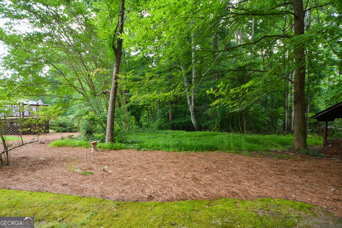 2355 Peachtree Way Dunwoody - Photo 18