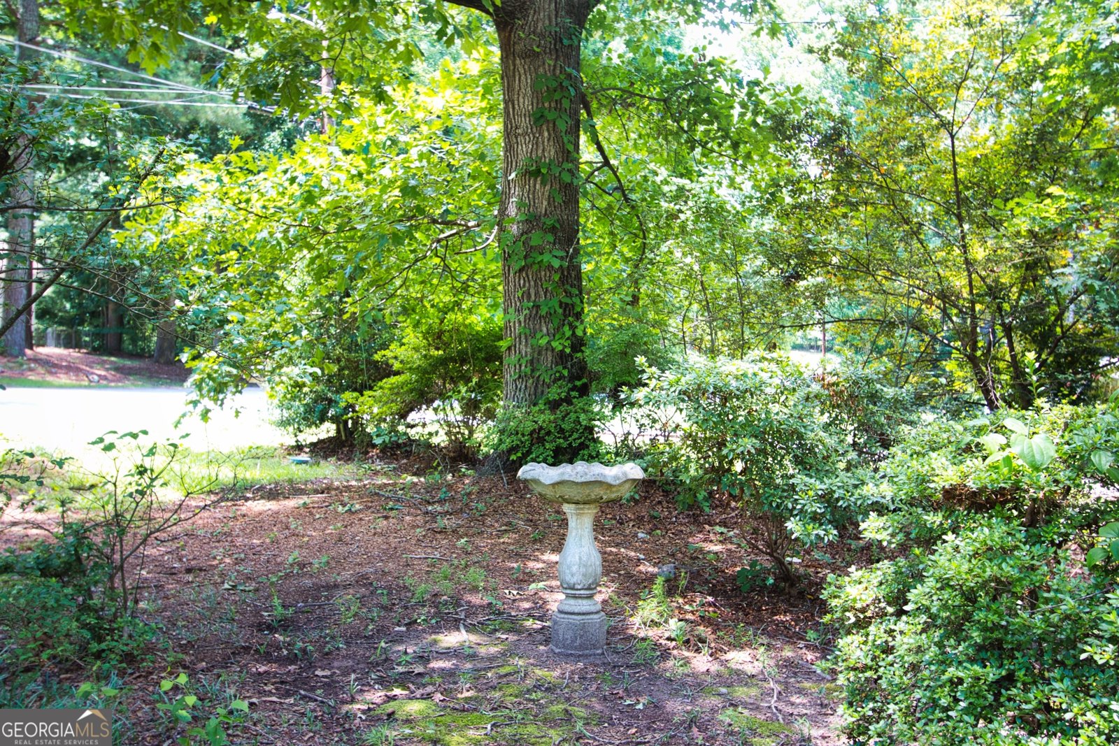 324 Zion Wood Road Loganville - Photo 29