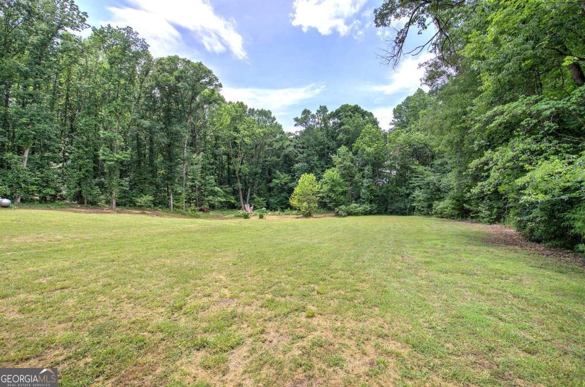 331 Salacoa Road Fairmount - Photo 39
