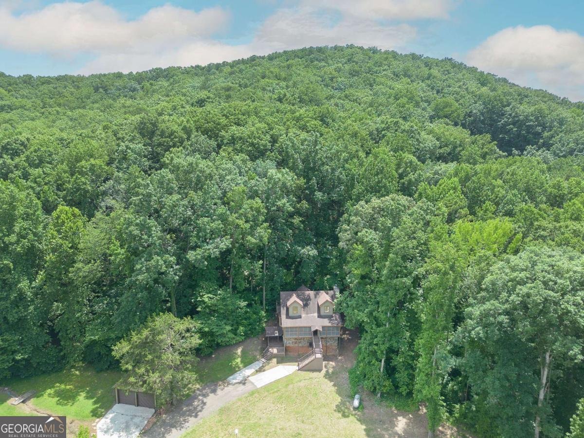 331 Salacoa Road Fairmount - Photo 6