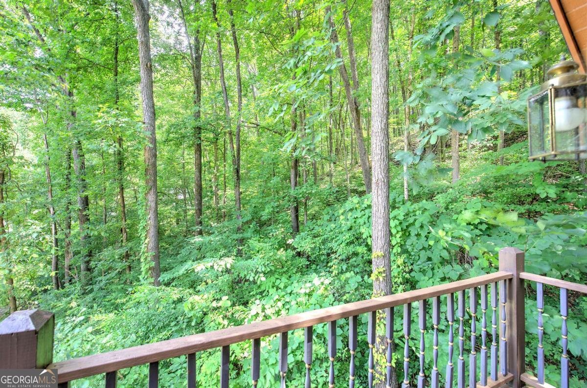 331 Salacoa Road Fairmount - Photo 70