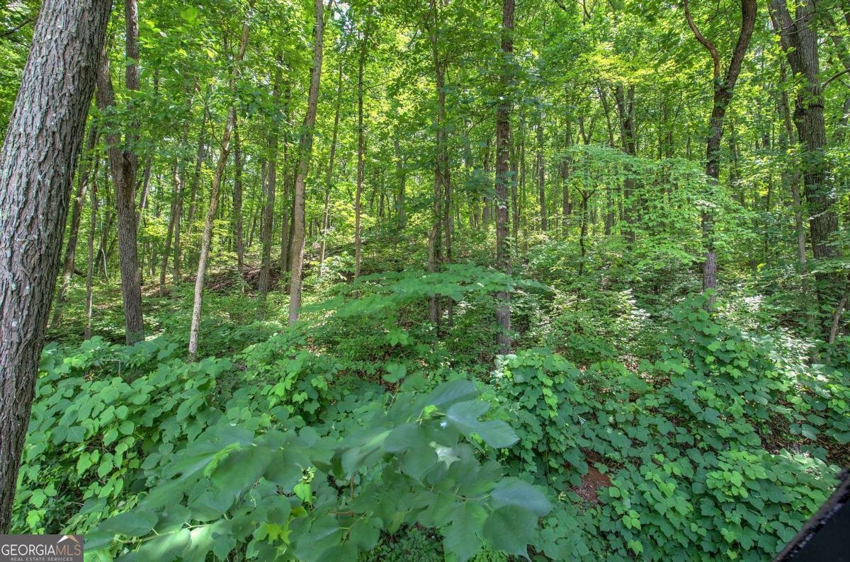 331 Salacoa Road Fairmount - Photo 71