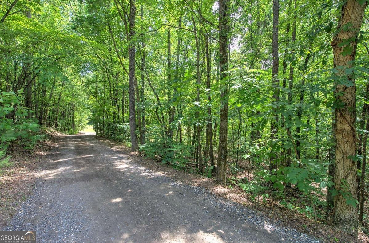 331 Salacoa Road Fairmount - Photo 87