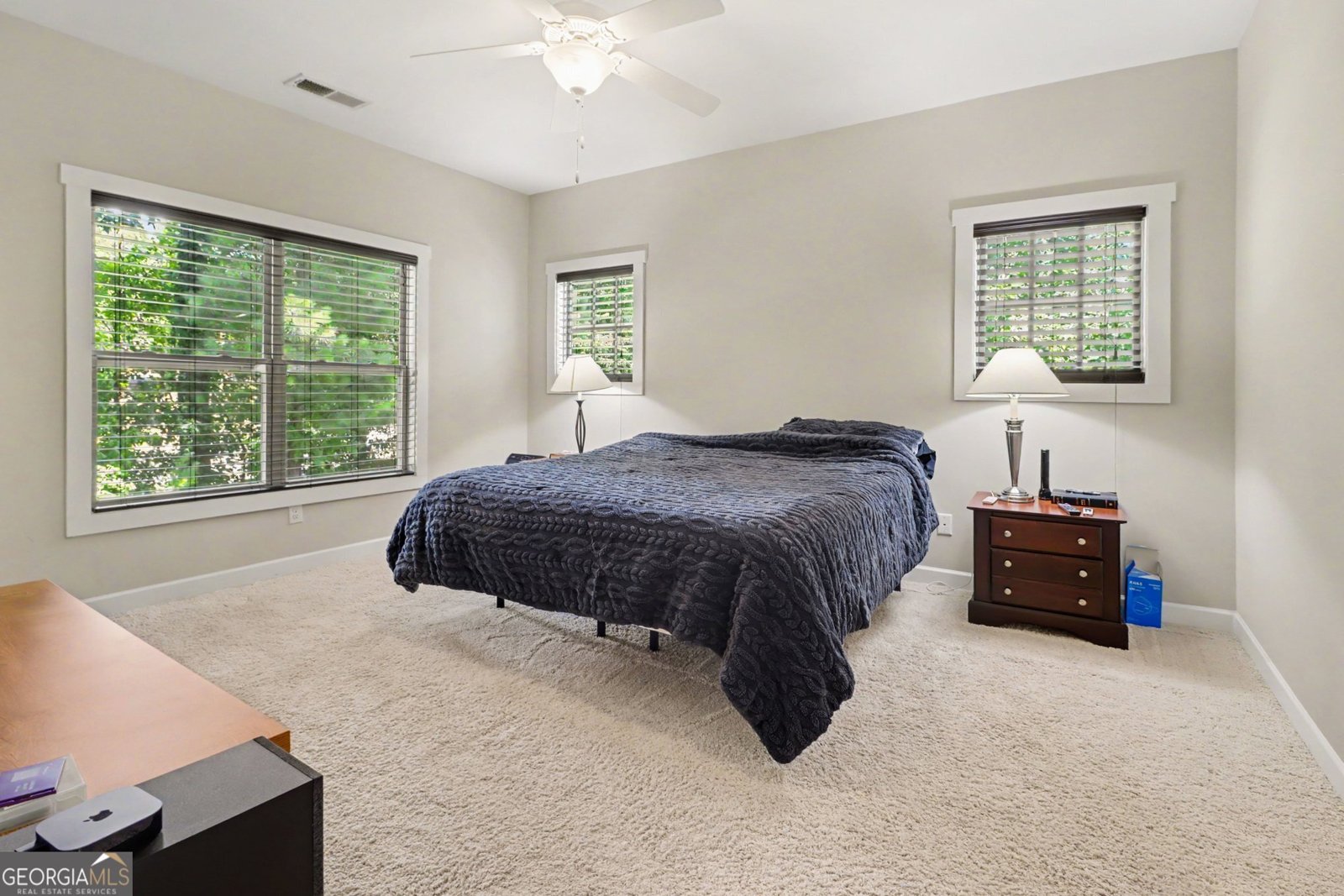 1229 Olde Legacy Lane Mableton - Photo 16