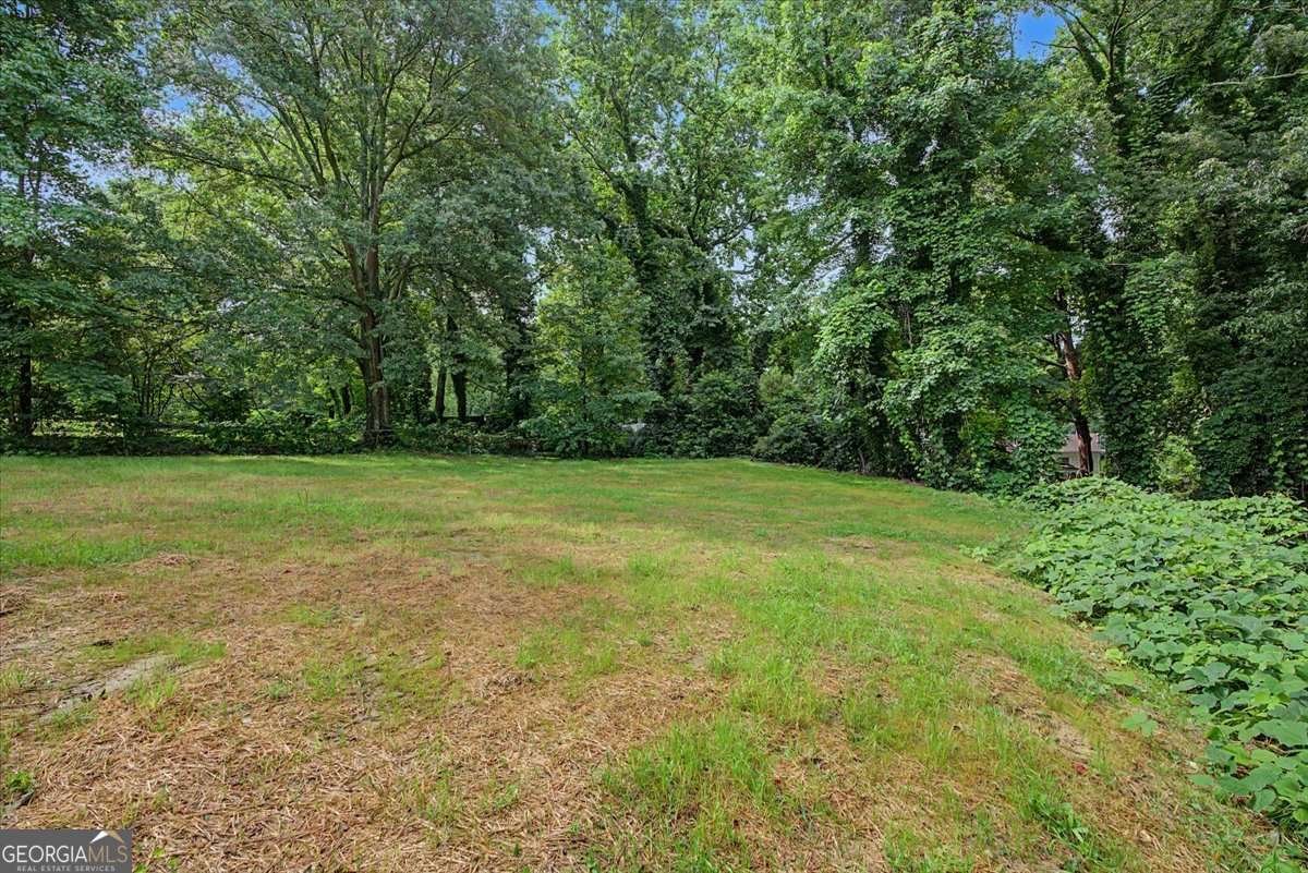 4621 Ashmore Drive Forest Park - Photo 33
