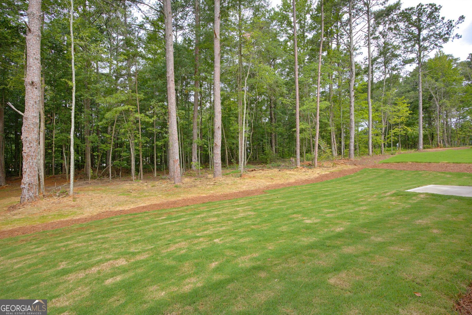 90 Doris Path Dallas - Photo 35