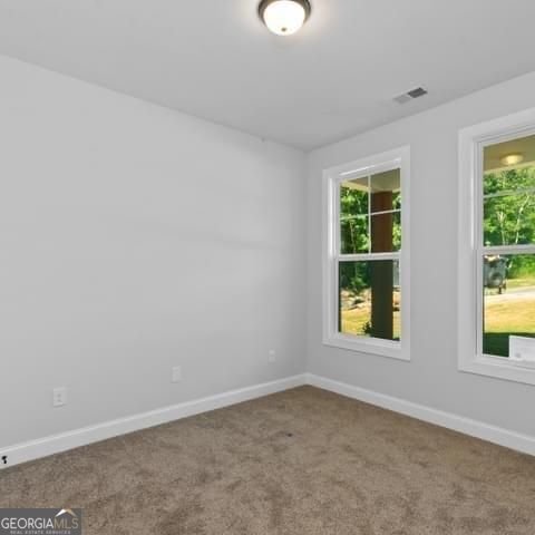 321 Birchwood Farms Lane Dallas - Photo 19