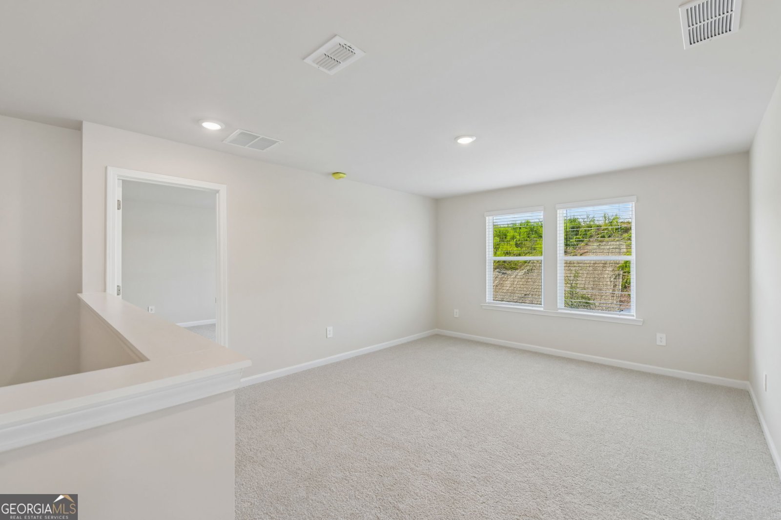 294 Mulberry Creek Court Pendergrass - Photo 24