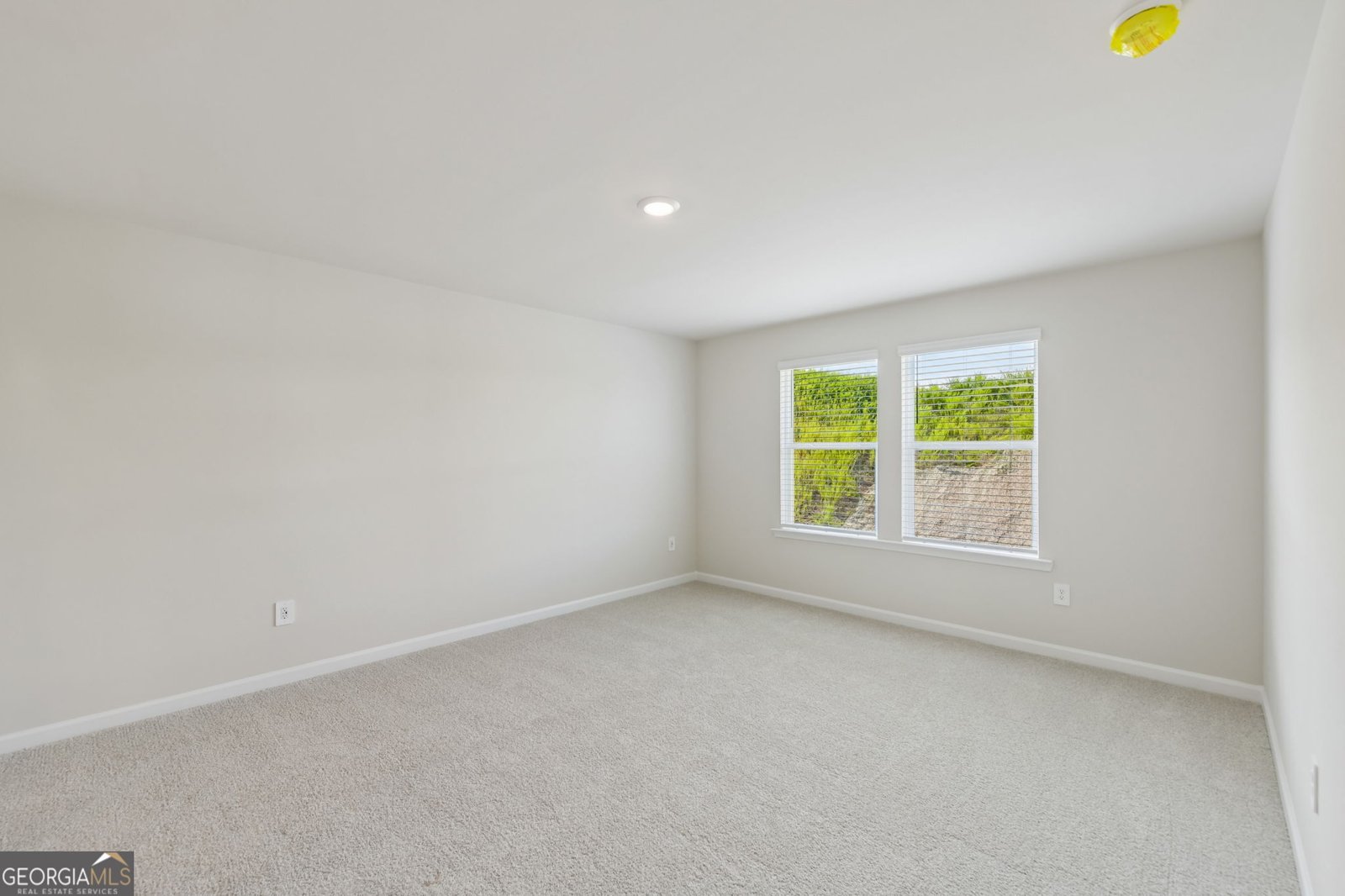 294 Mulberry Creek Court Pendergrass - Photo 27