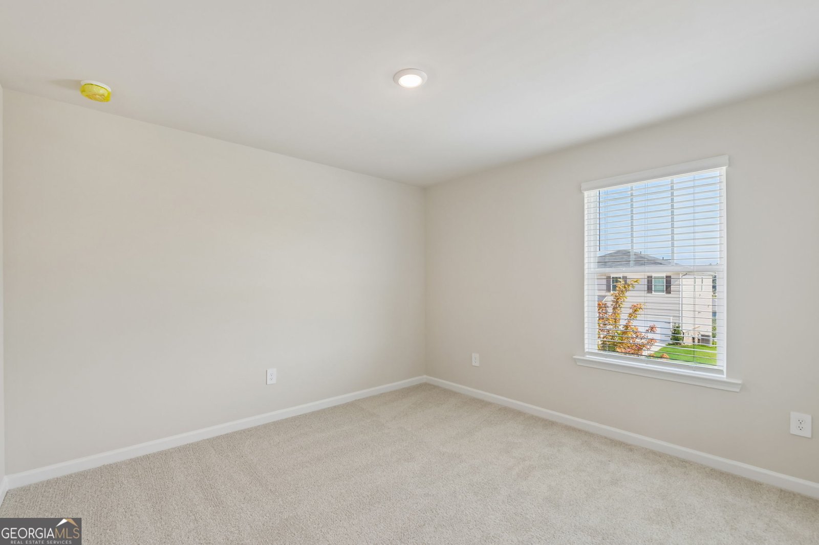 294 Mulberry Creek Court Pendergrass - Photo 34