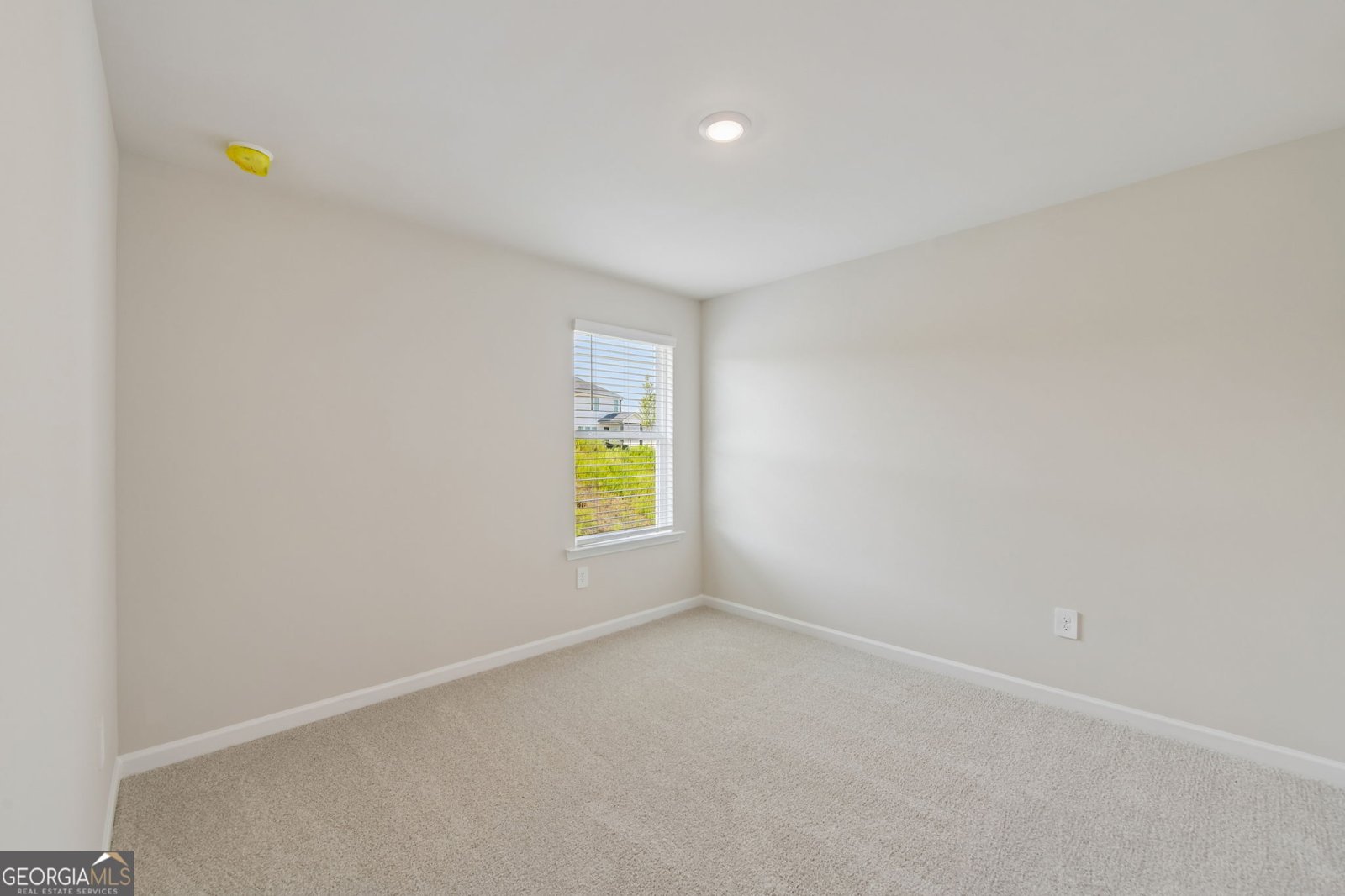 294 Mulberry Creek Court Pendergrass - Photo 38