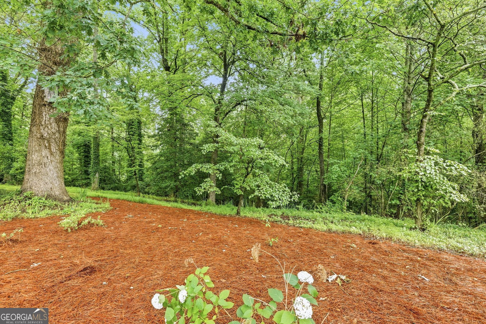2218 J Warren Road Cornelia - Photo 37