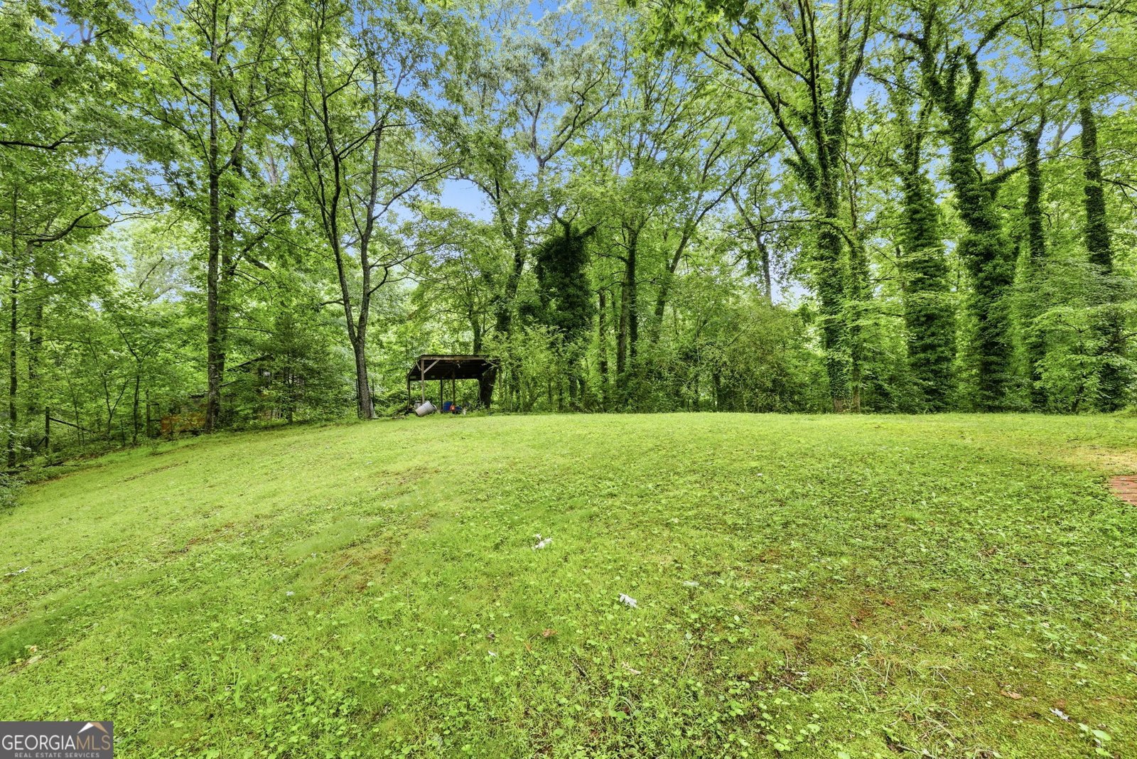 2218 J Warren Road Cornelia - Photo 38