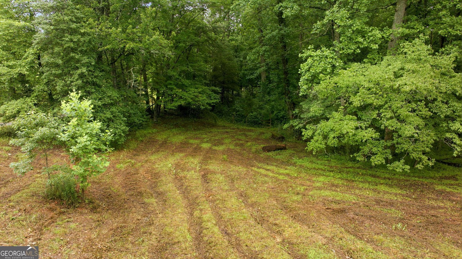 2218 J Warren Road Cornelia - Photo 40