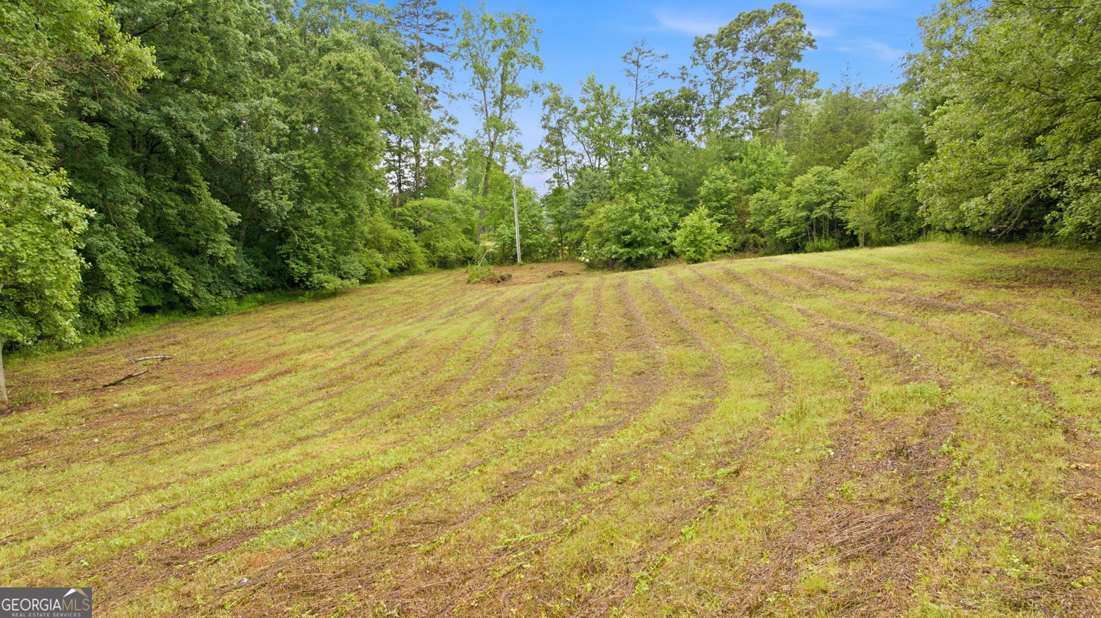 2218 J Warren Road Cornelia - Photo 43