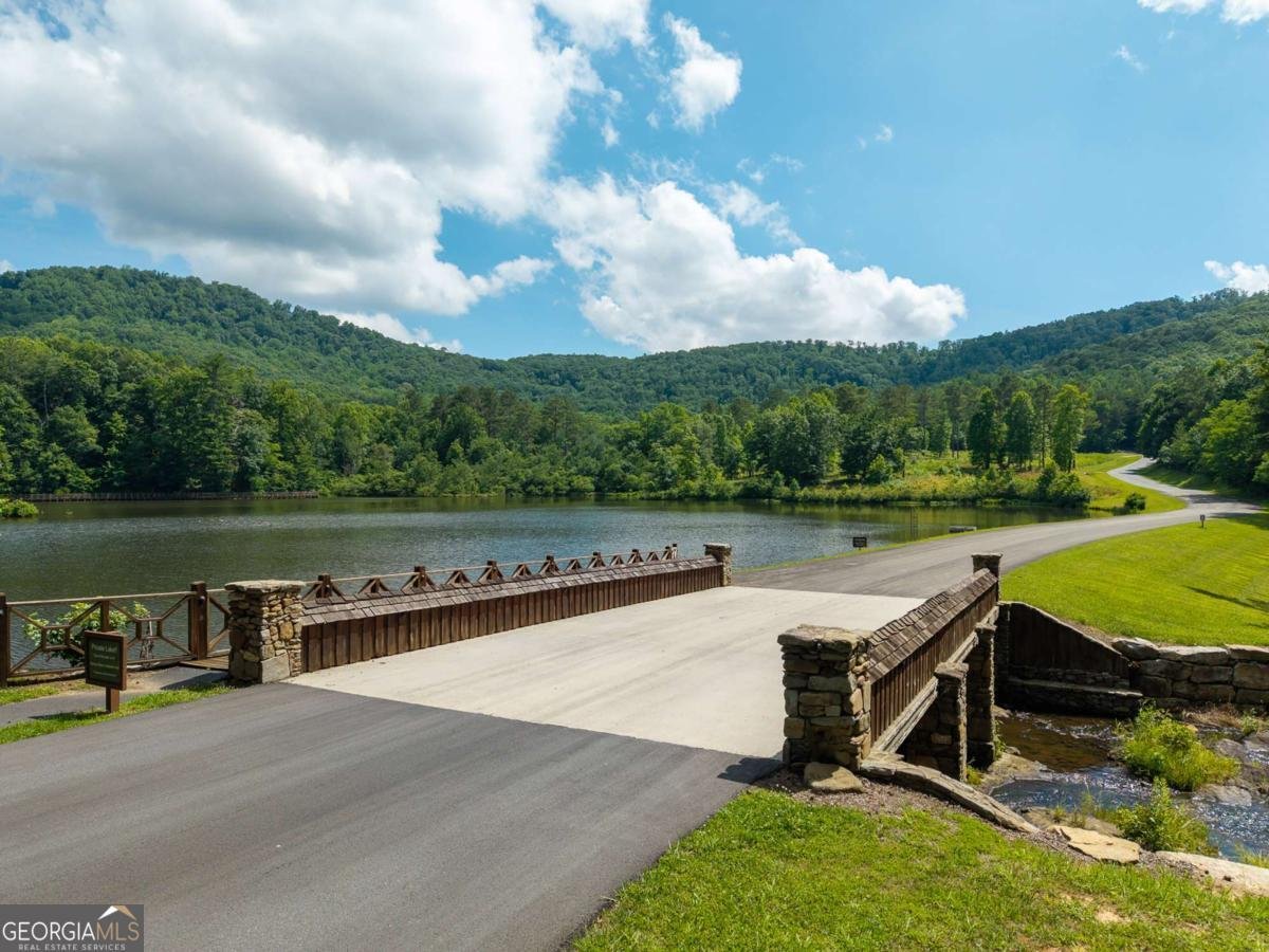 1252 Mountainside Parkway Ellijay - Photo 47