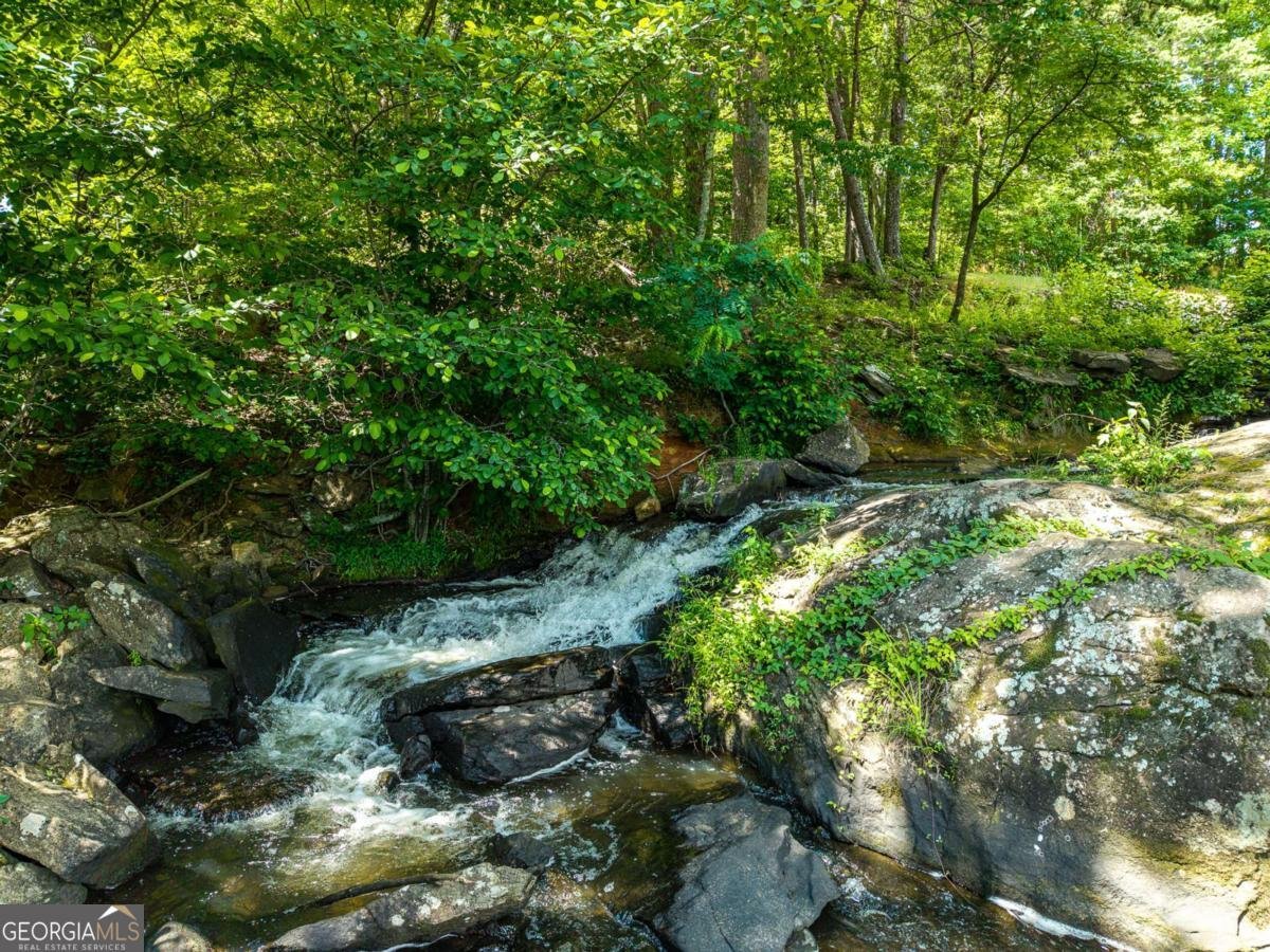 1252 Mountainside Parkway Ellijay - Photo 48