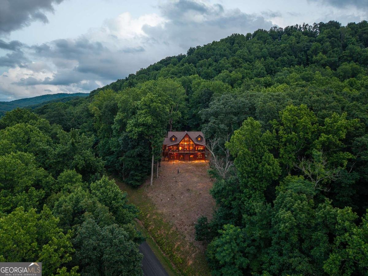 1252 Mountainside Parkway Ellijay - Photo 53