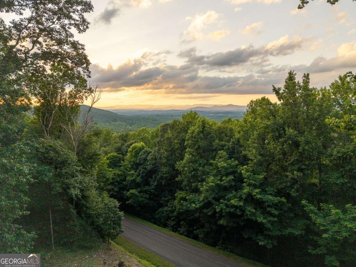 1252 Mountainside Parkway Ellijay - Photo 54