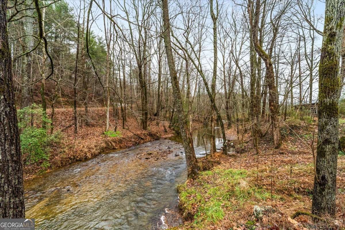 1824 Old Bucktown Road Ellijay - Photo 60