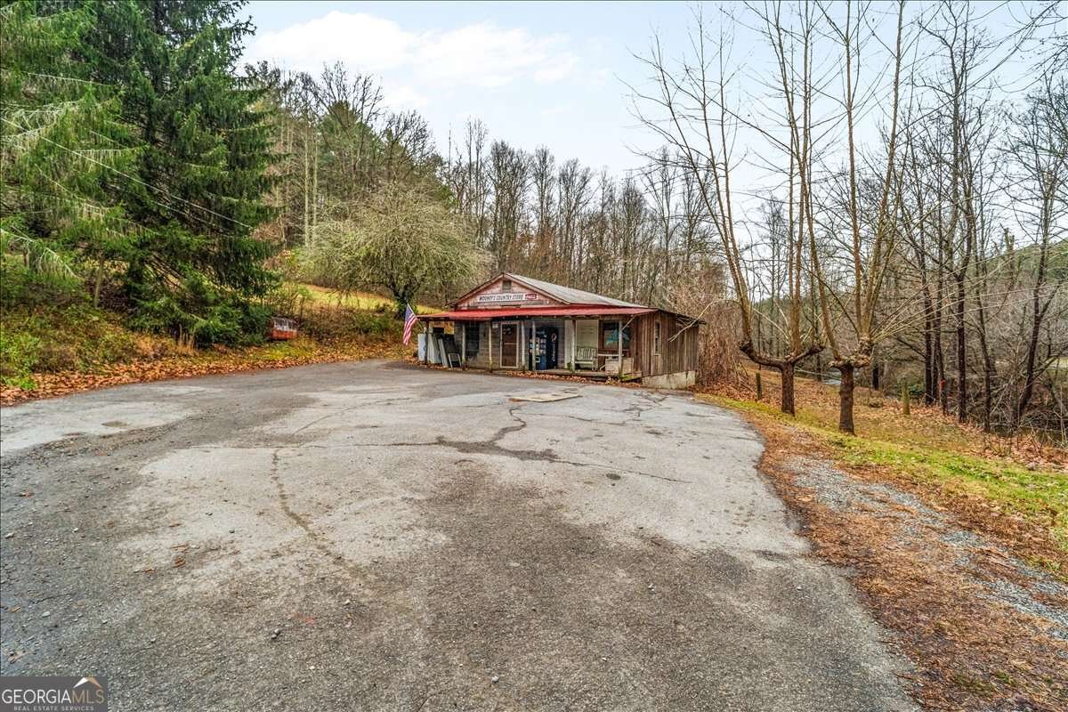 1824 Old Bucktown Road Ellijay - Photo 61