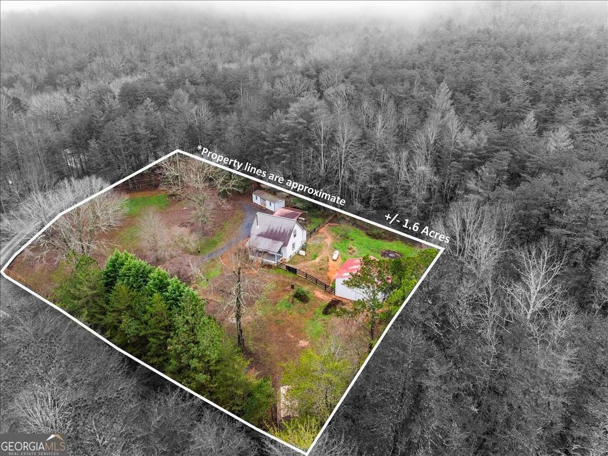 1824 Old Bucktown Road Ellijay - Photo 62