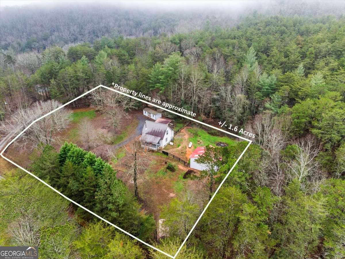 1824 Old Bucktown Road Ellijay - Photo 63