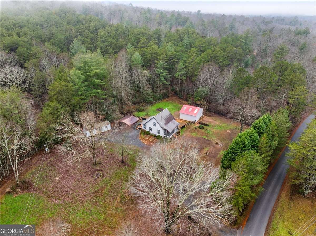 1824 Old Bucktown Road Ellijay - Photo 66