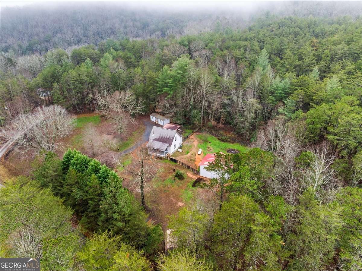1824 Old Bucktown Road Ellijay - Photo 67