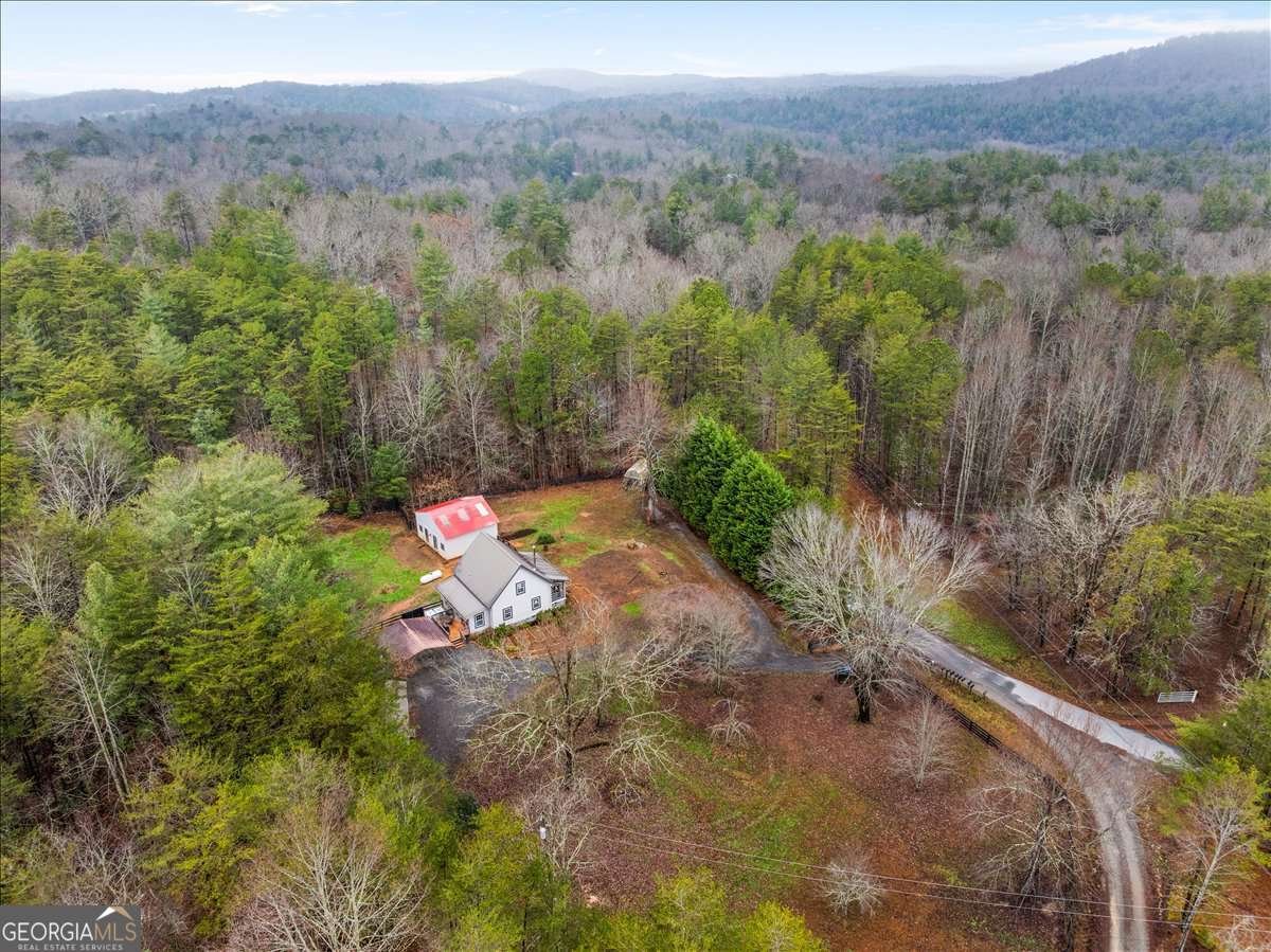 1824 Old Bucktown Road Ellijay - Photo 69