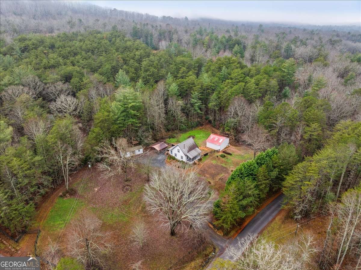 1824 Old Bucktown Road Ellijay - Photo 70