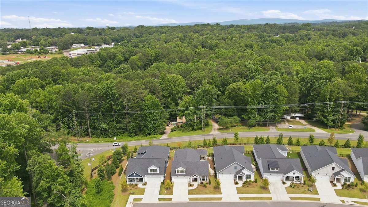 252 Persimmon Drive Canton - Photo 44