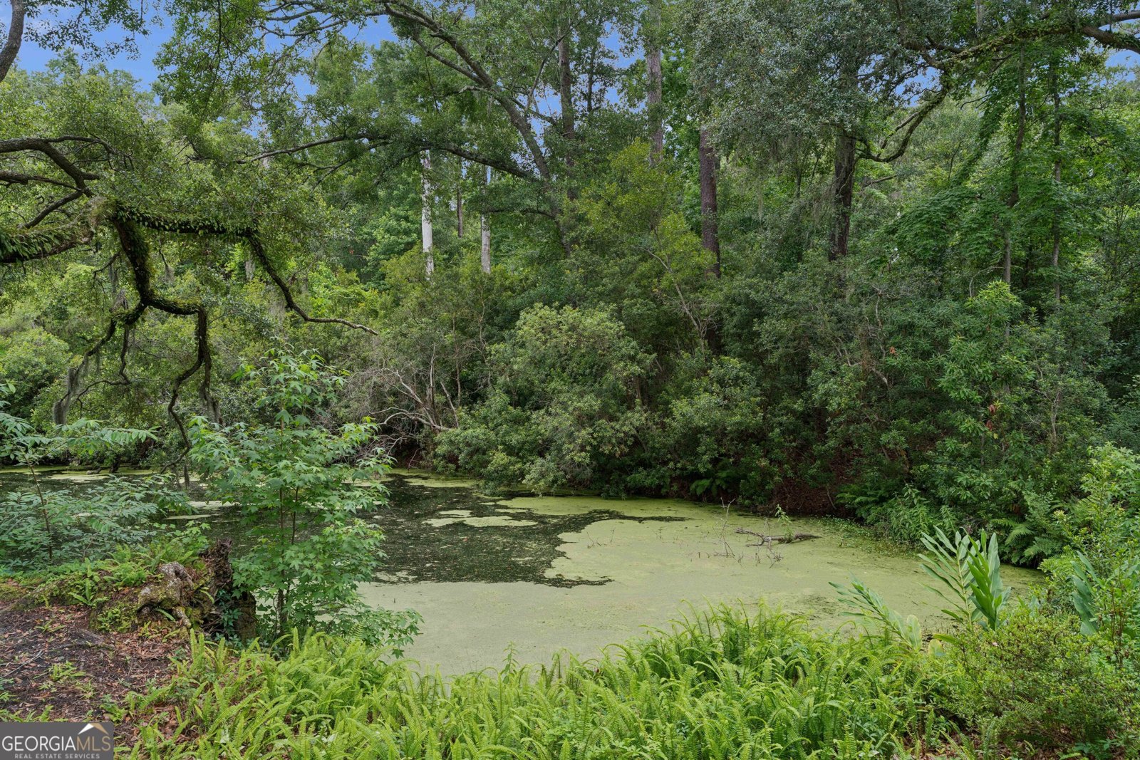 4909 Frederica Road St. Simons - Photo 39