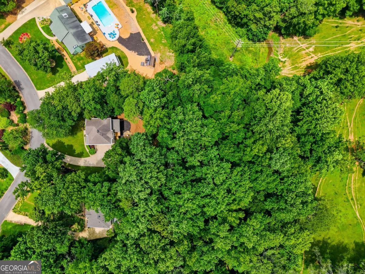 271 Orchard Drive Canton - Photo 59