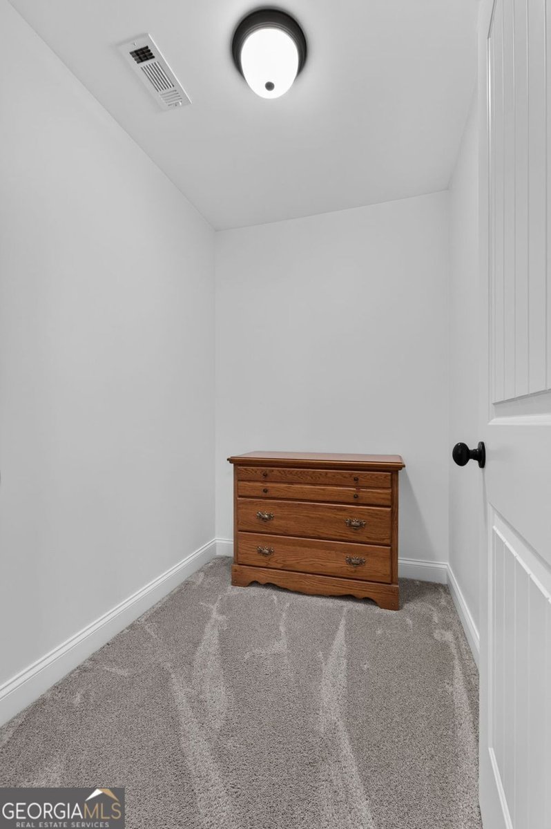 222 Thyme Leaf Way Locust Grove - Photo 46